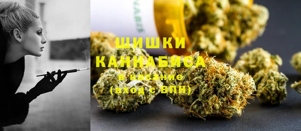 твердый Алзамай