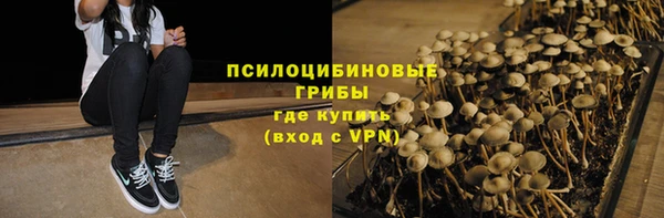 твердый Алзамай