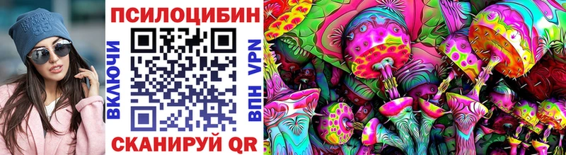 сколько стоит  Карачев  Галлюциногенные грибы Magic Shrooms 